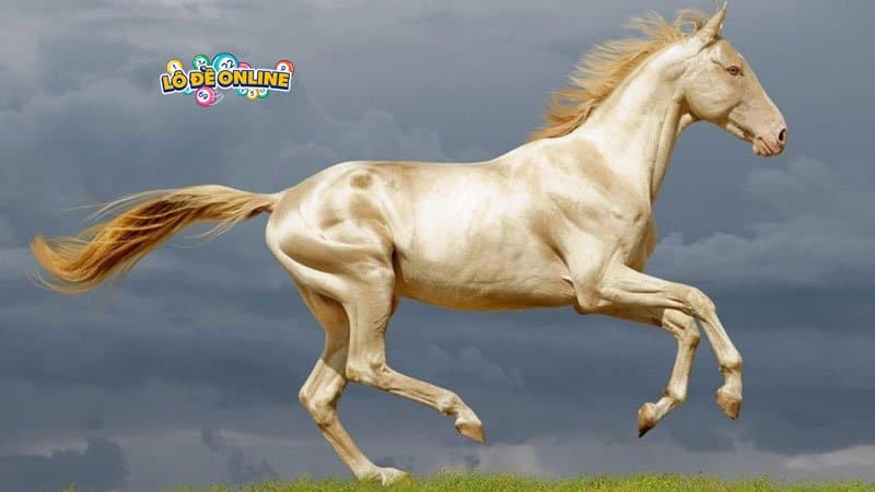 Luận giải giấc mơ thấy ngựa cực chi tiết và chuẩn xác nhất năm 2022